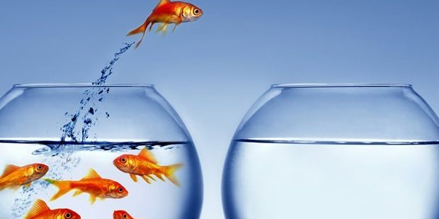 Generic strategies picture