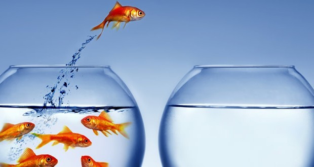 Generic strategies picture